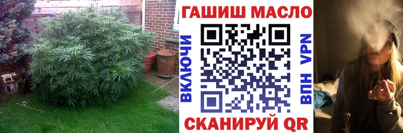 ТГК концентрат Курганинск