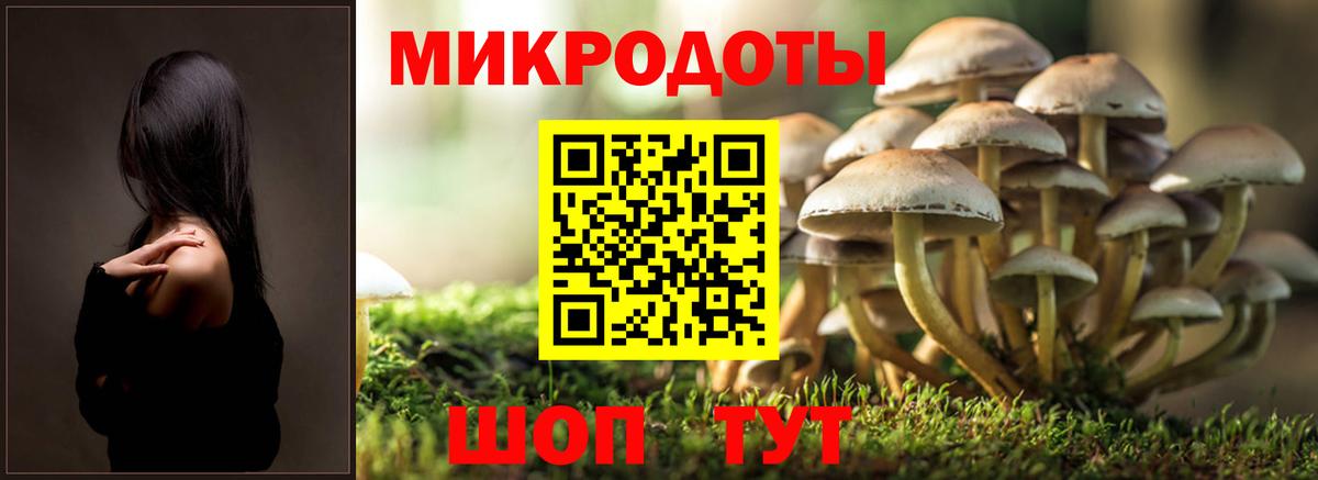 Курганинск  Галлюциногенные грибы GOLDEN TEACHER  Вход с VPN 