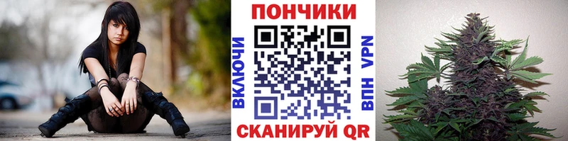 кракен ТОР  продажа наркотиков  Курганинск  Марихуана конопля 